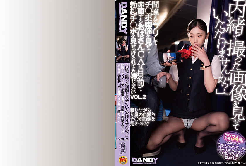 104DANDY-941黑丝空姐OL